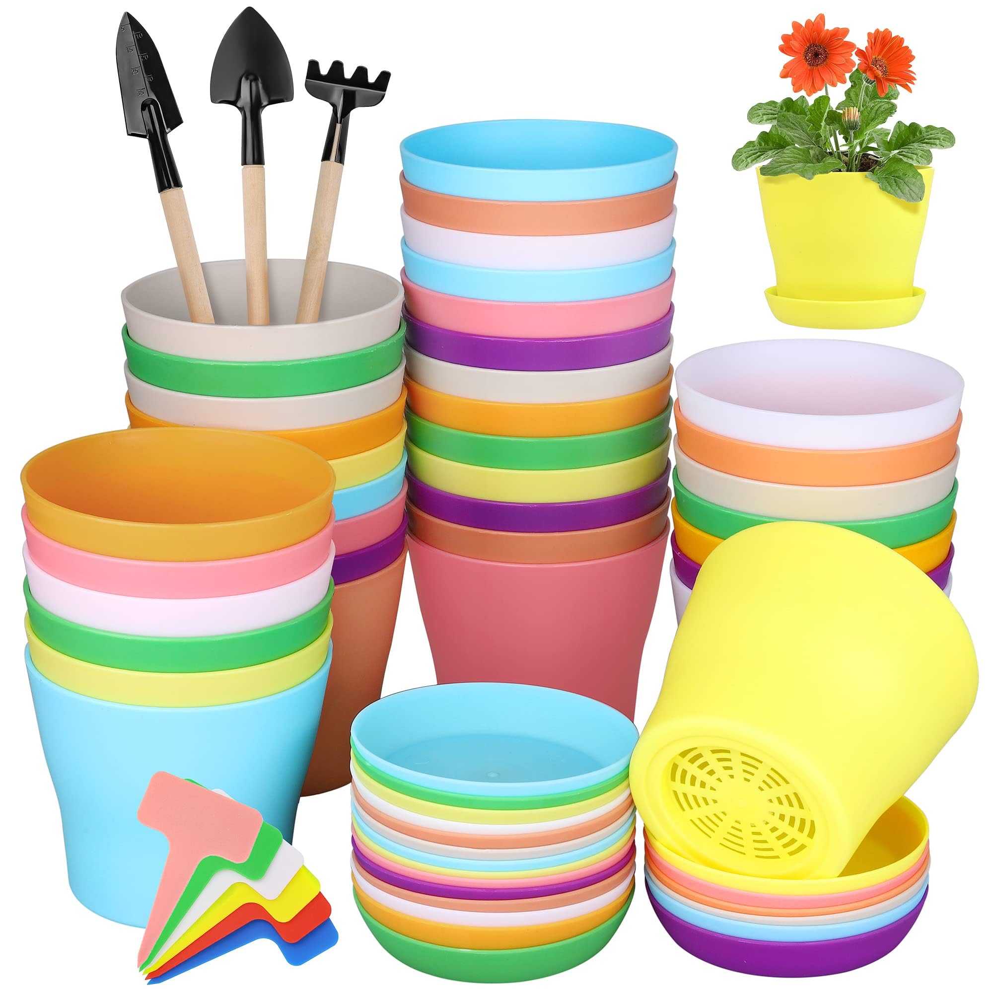 Hahood 36-pack 4-inch pots on saucers ready for seedlings and transplanting