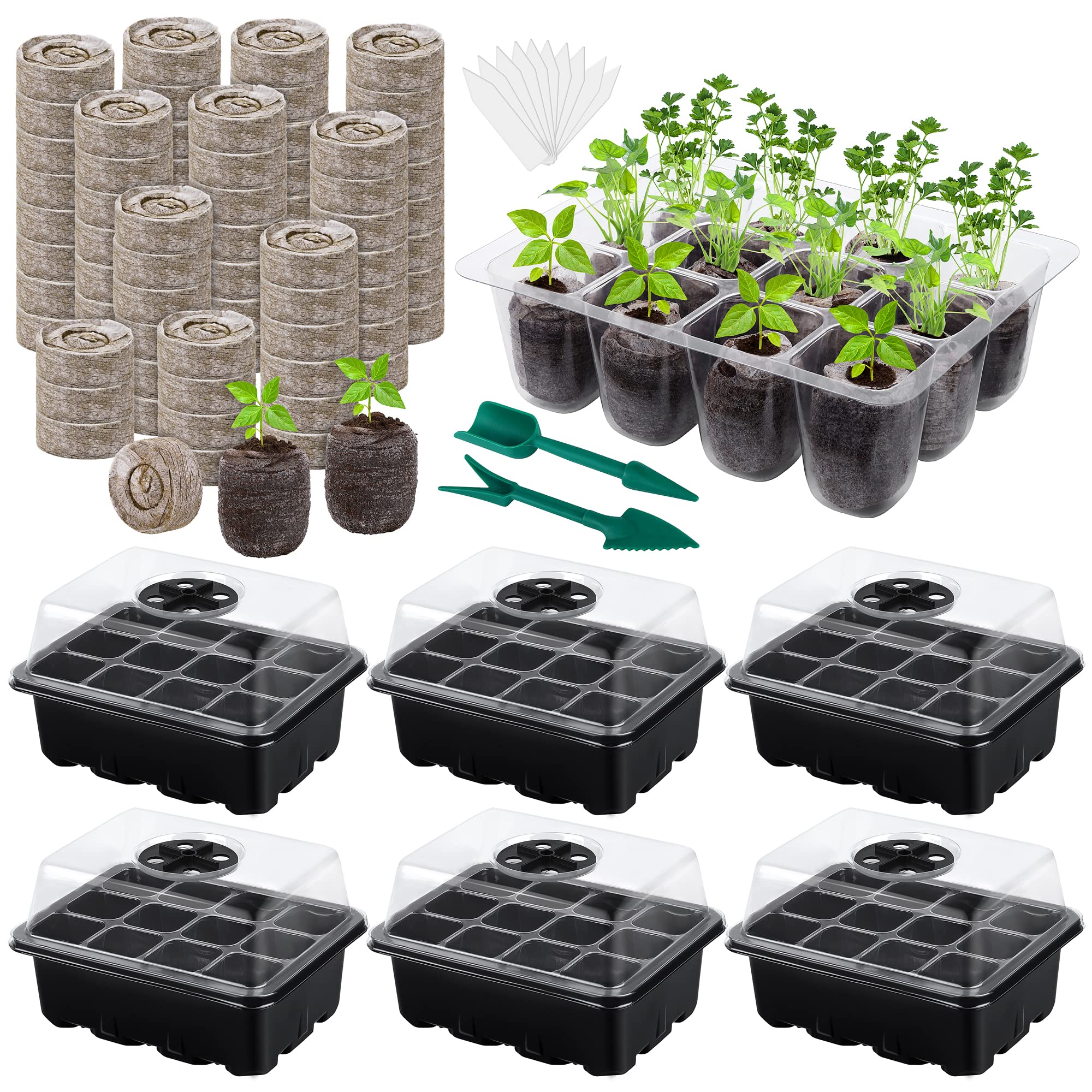 Hahood 6-pack seed starter trays with 12 holes for organized germination.