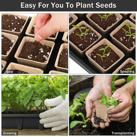 Hahood 6-pack seed starter kit for herbs, flowers, and vegetables at home