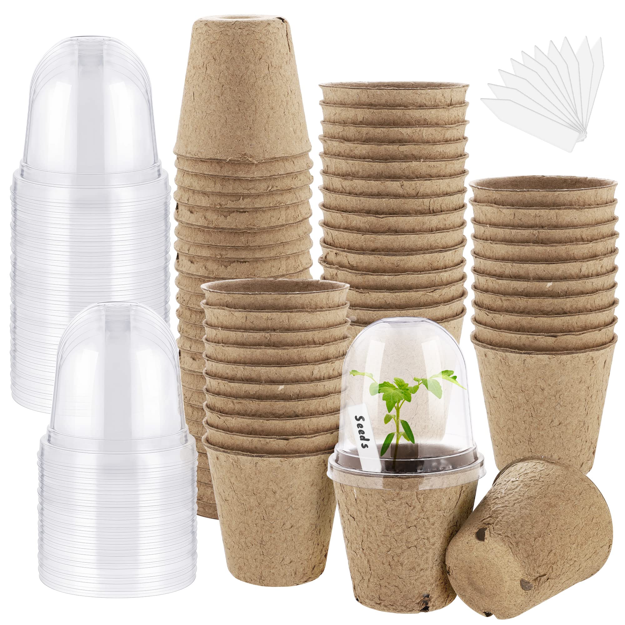 Hahood 60 set seedling pots arranged for herb and vegetable starter use.