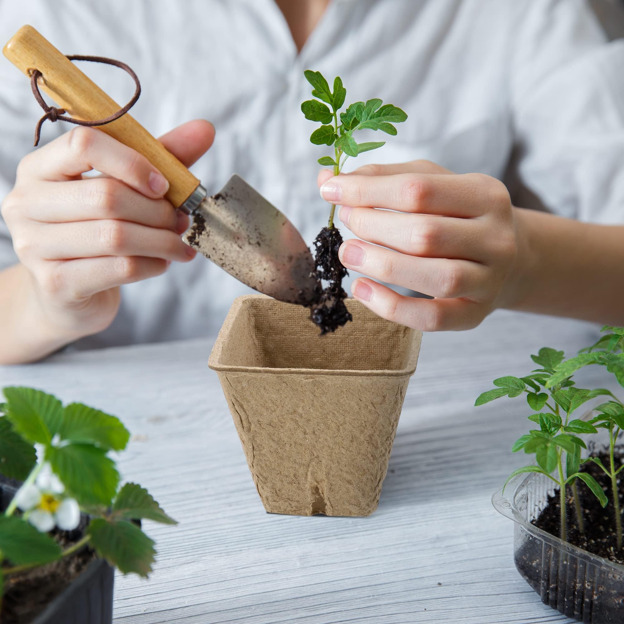 Hahood air-permeable seedling pot promotes healthy root growth