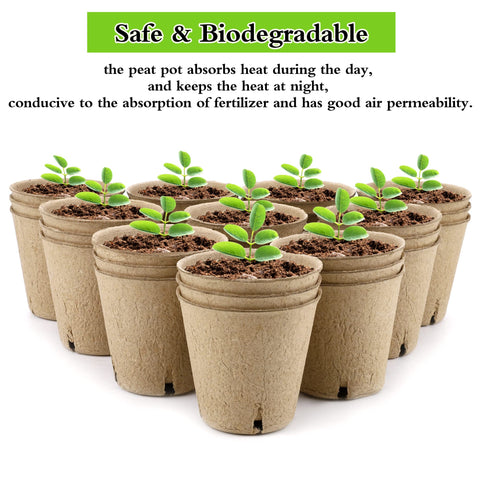 Hahood biodegradable peat shell that breaks down to nourish roots.