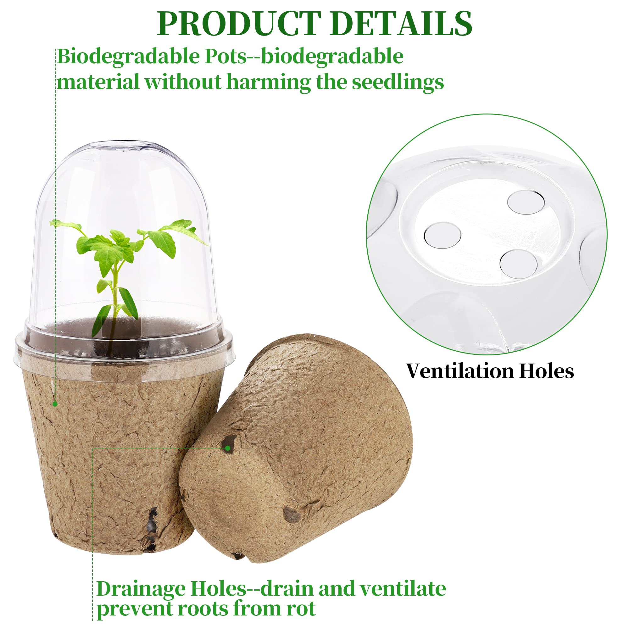 Biodegradable seedling pots designed for eco friendly transplanting.