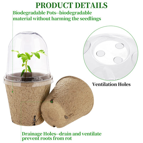 Biodegradable seedling pots designed for eco friendly transplanting.