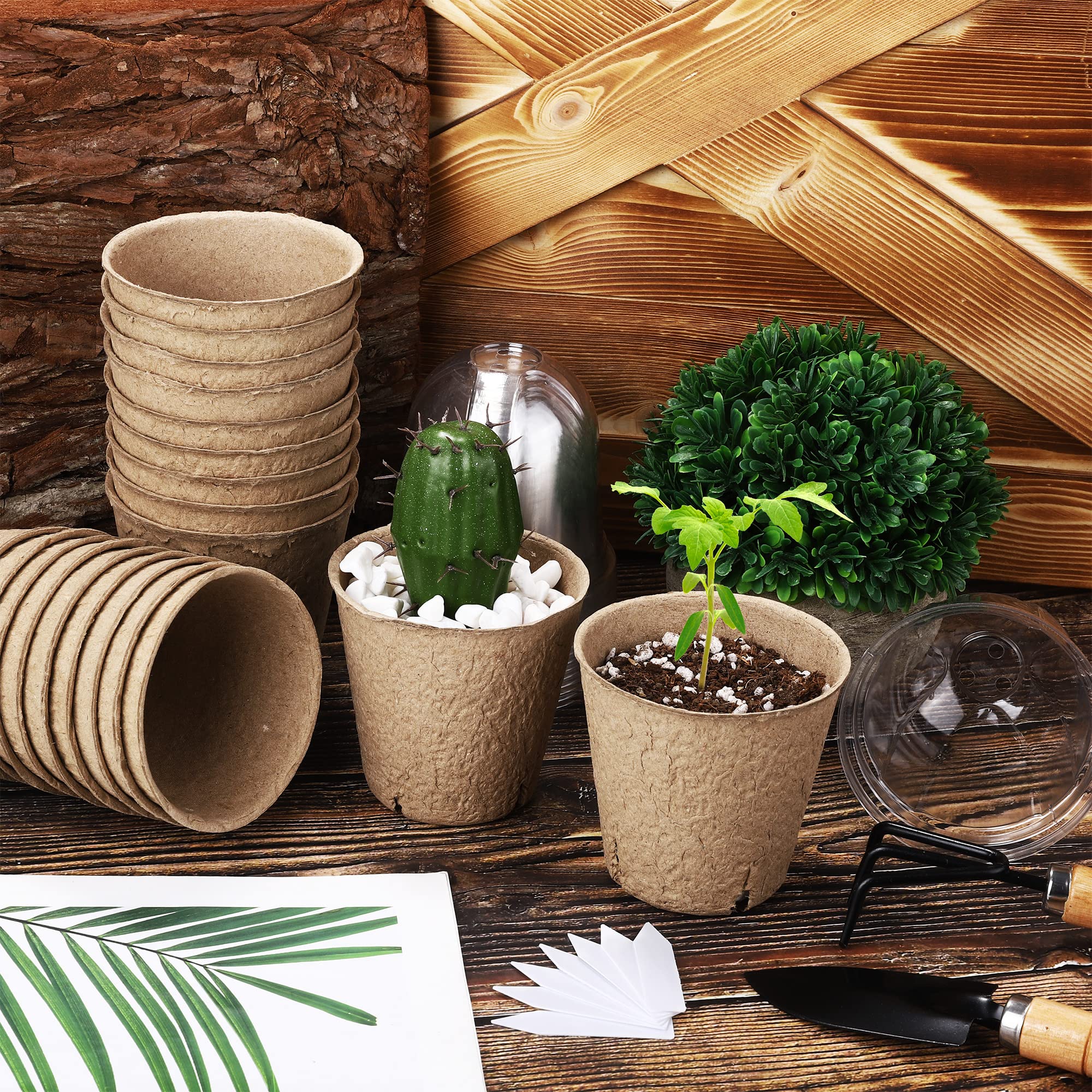 Pots with four drainage holes promoting healthy root growth.