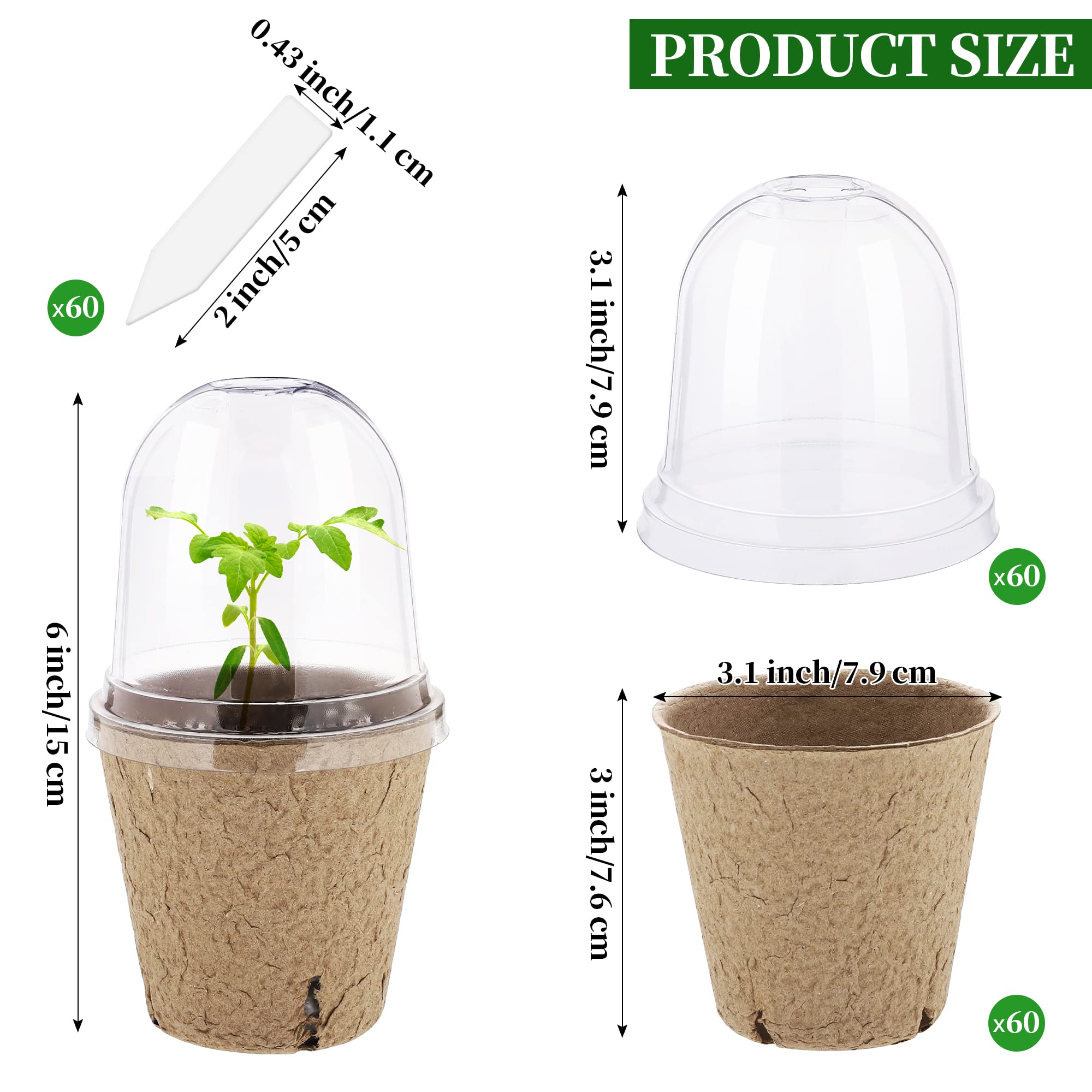 Clear humidity dome over pots showing a mini greenhouse effect.