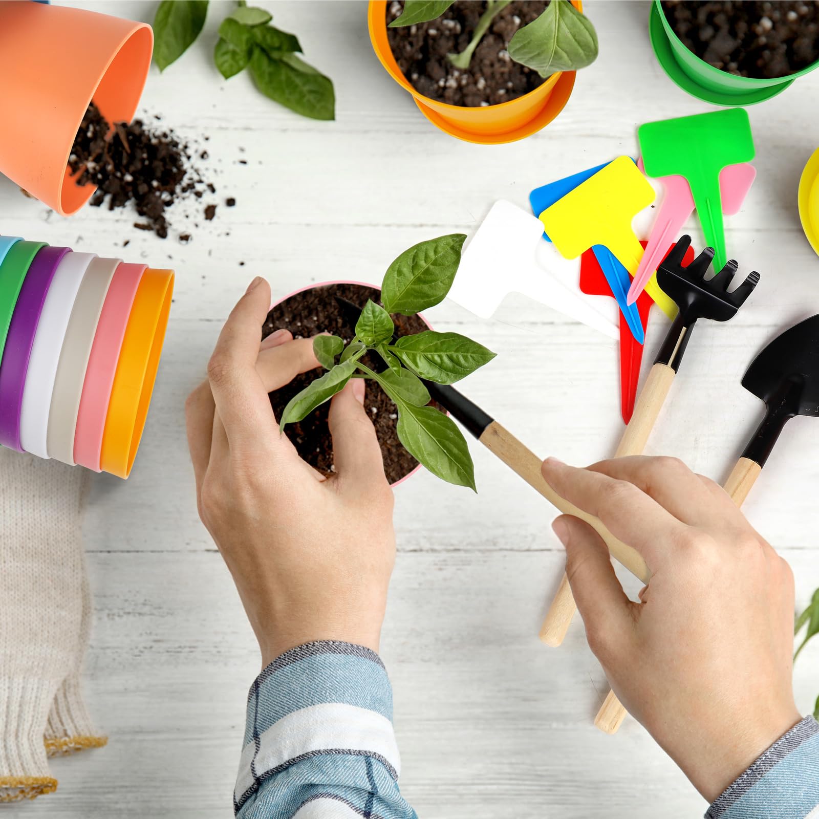 Hahood colorful 4-inch pots brighten windowsills and desks with practical plant care.