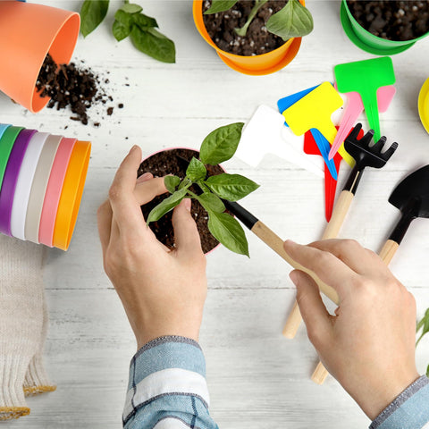 Hahood colorful 4-inch pots brighten windowsills and desks with practical plant care.
