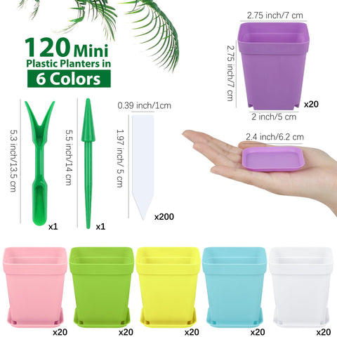 Hahood six-color pots with pallets for vibrant display and tidy setup
