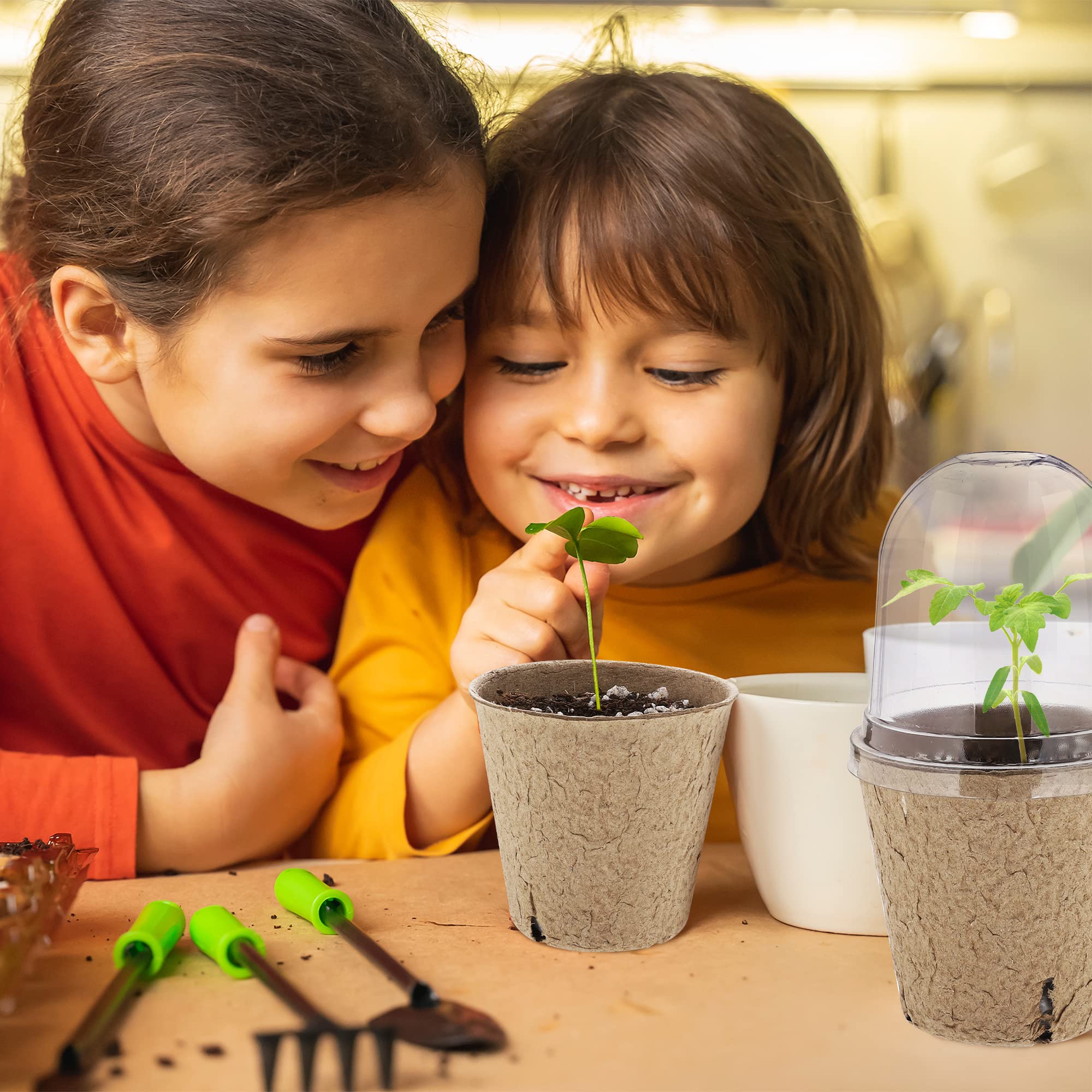 Compact 3.1 inch seedling pots suited for small spaces.