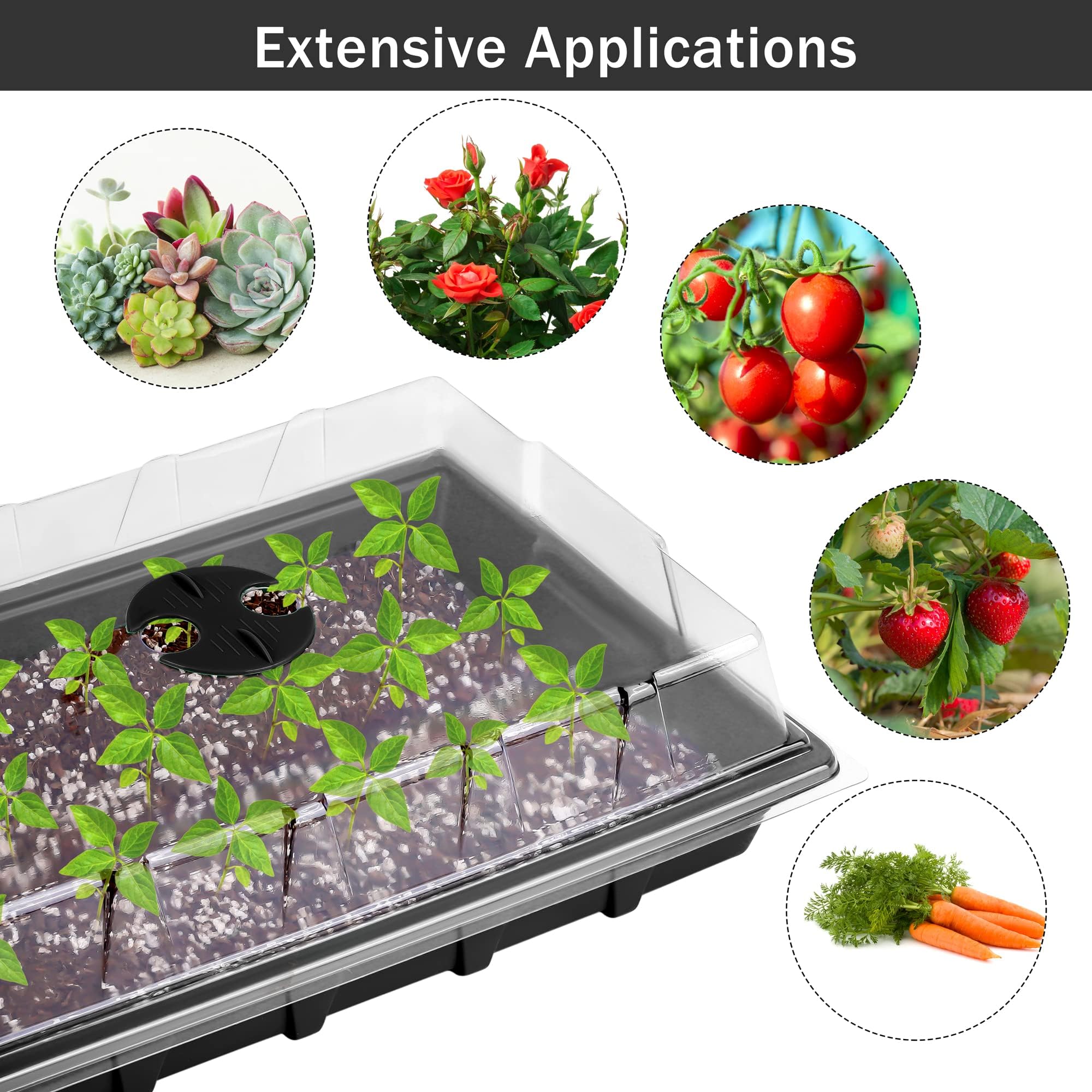 Hahood degradable peat pots with drainage promote healthy root development