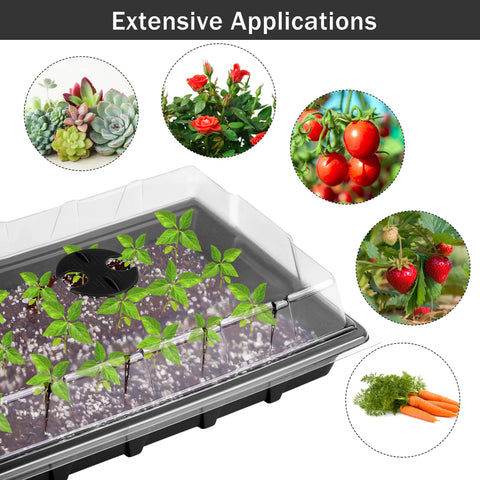 Hahood degradable peat pots with drainage promote healthy root development