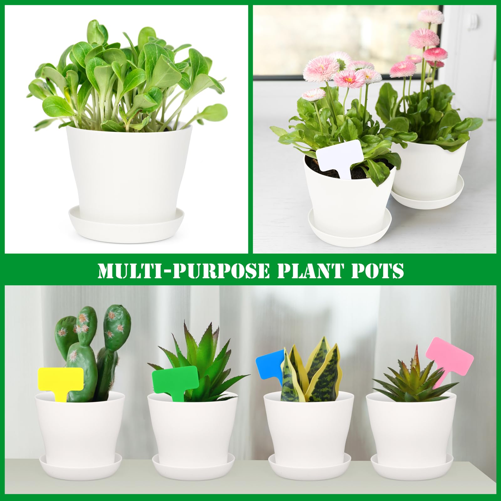 Hahood full 48-pack kit suited for indoor and outdoor gardening