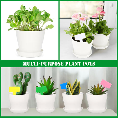 Hahood full 48-pack kit suited for indoor and outdoor gardening