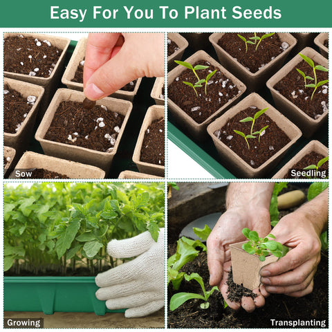 Hahood kit supports herbs, flowers, and vegetables from seed to sprout.