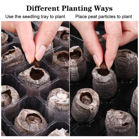 Hahood garden tools included for quick potting and transplanting tasks.