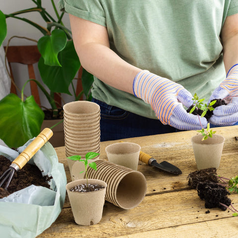 Hahood garden-ready pots for vegetables, flowers, and melons in home gardens.
