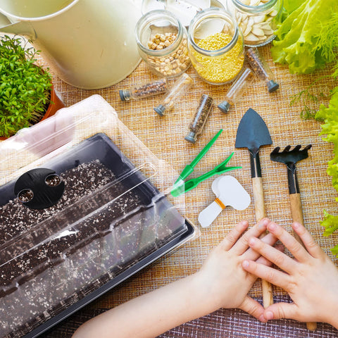 Hahood germination setup supports home growers starting fruits, vegetables, and flowers