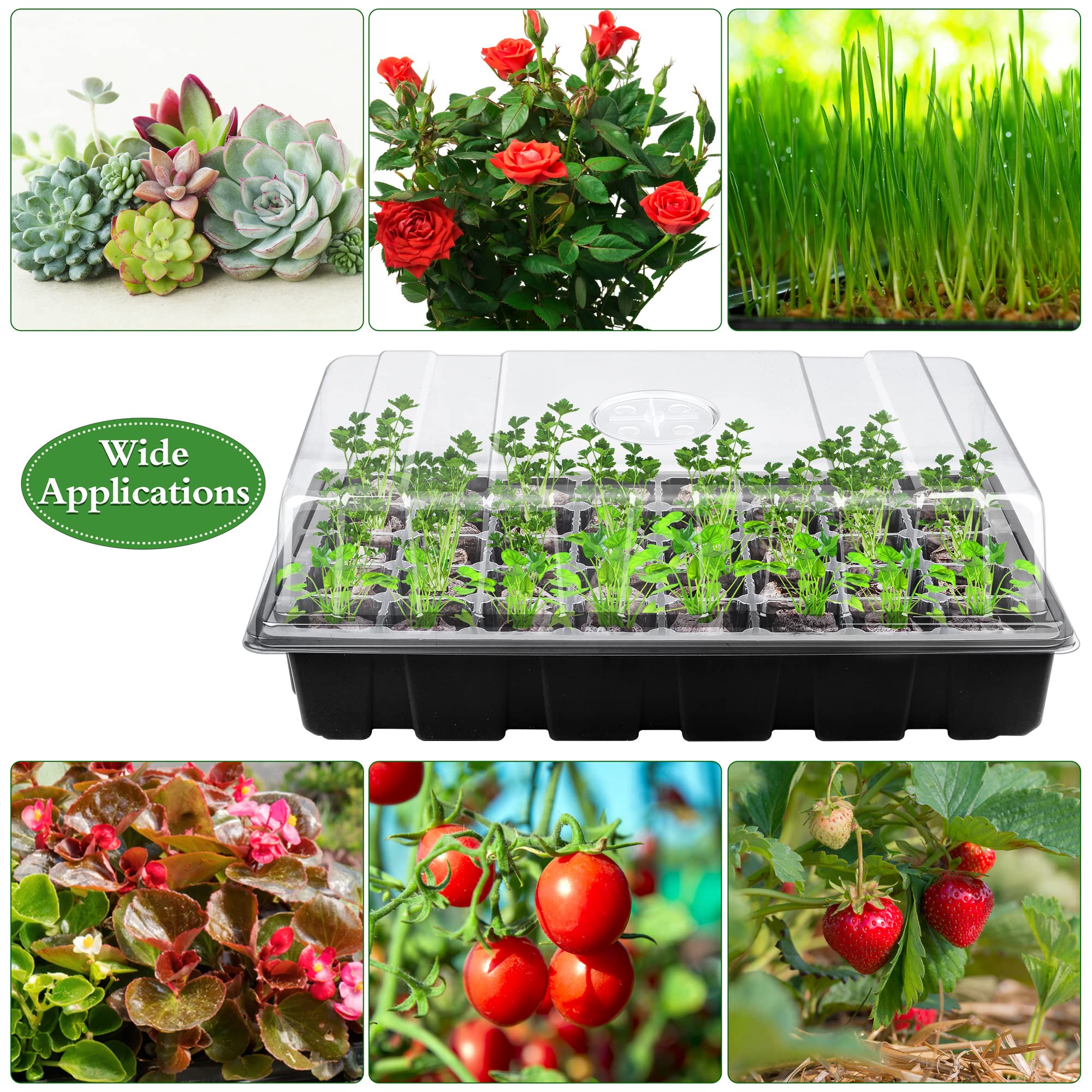 Hahood transparent humidity-dome lid allows monitoring during germination.