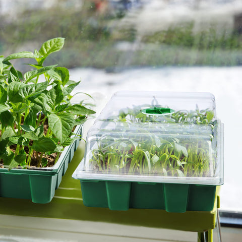 Hahood humidity dome with vents maintaining ideal moisture for seedlings