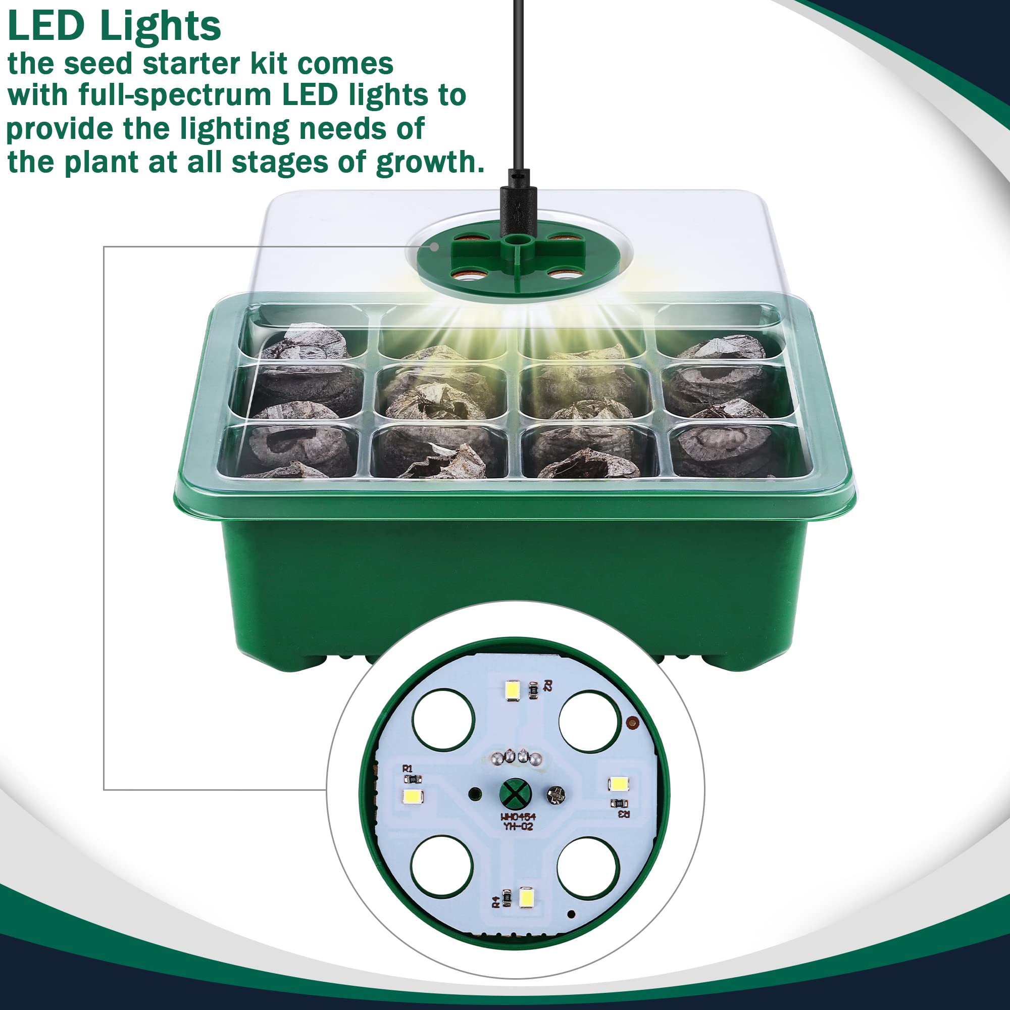 Hahood full-spectrum LED grow lights illuminate seedlings for healthy growth