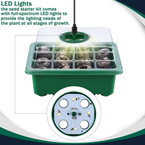 Hahood full-spectrum LED grow lights illuminate seedlings for healthy growth