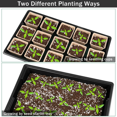 Hahood mini garden tools include spade and rake for transplanting