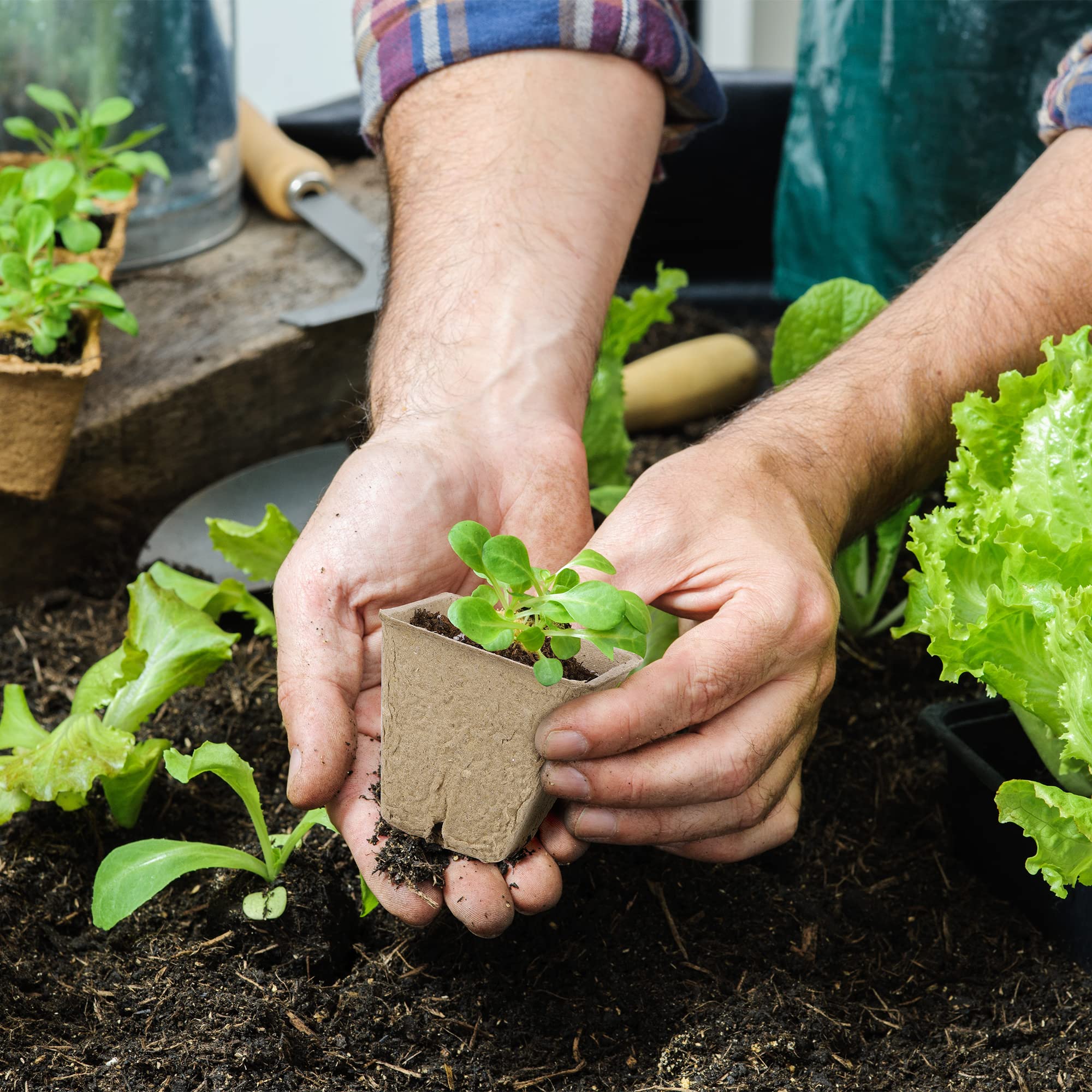 Hahood mini garden tools include shovel, rake, spade for quick bed prep.