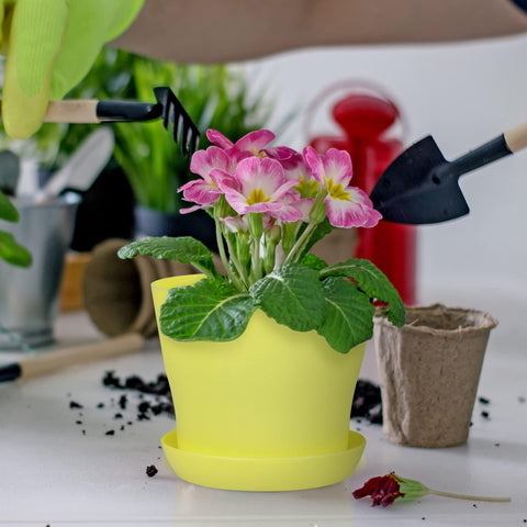 Hahood mini pots perfect for succulents and herbs