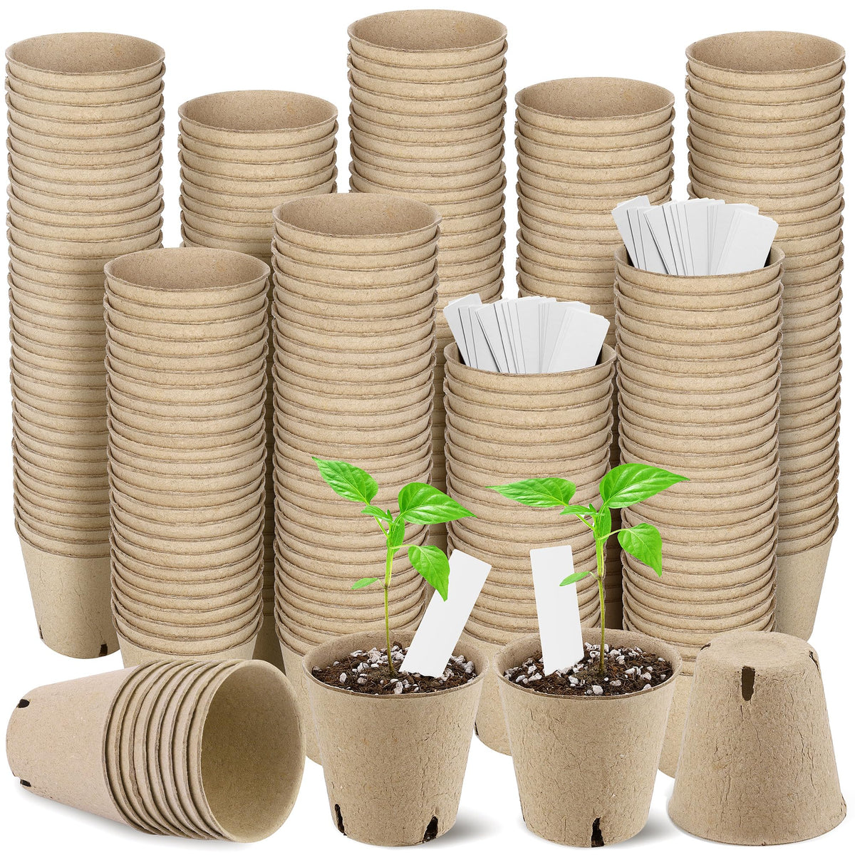 Hahood peat pots 3.15-inch round for easy seed starting and transplanting.