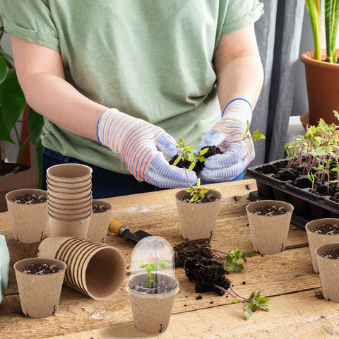 Plant labels included to track seed variety and dates.