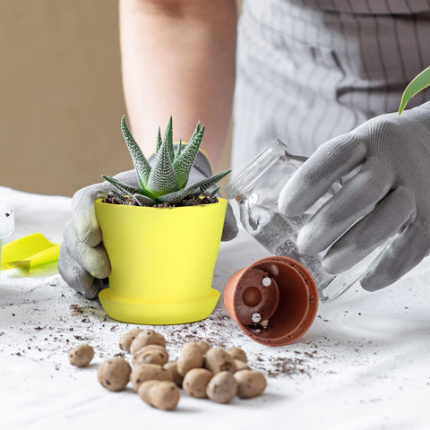 Hahood plant labels help track growth and care.