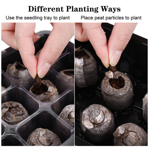 Hahood plant labels used to track varieties during indoor germination.