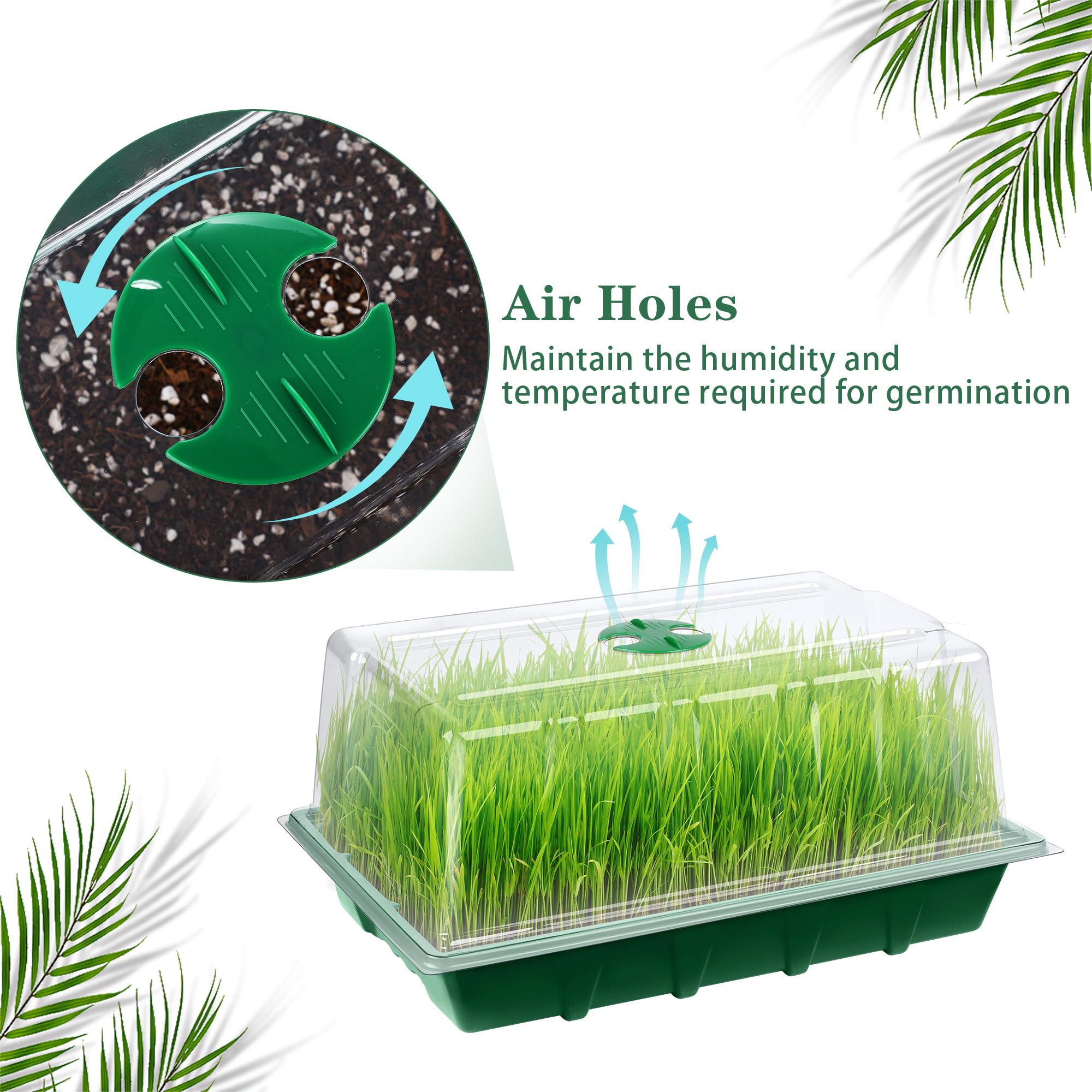 Hahood transparent lid allows observation without disturbing seedlings