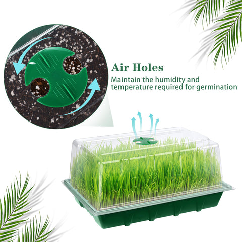Hahood transparent lid allows observation without disturbing seedlings