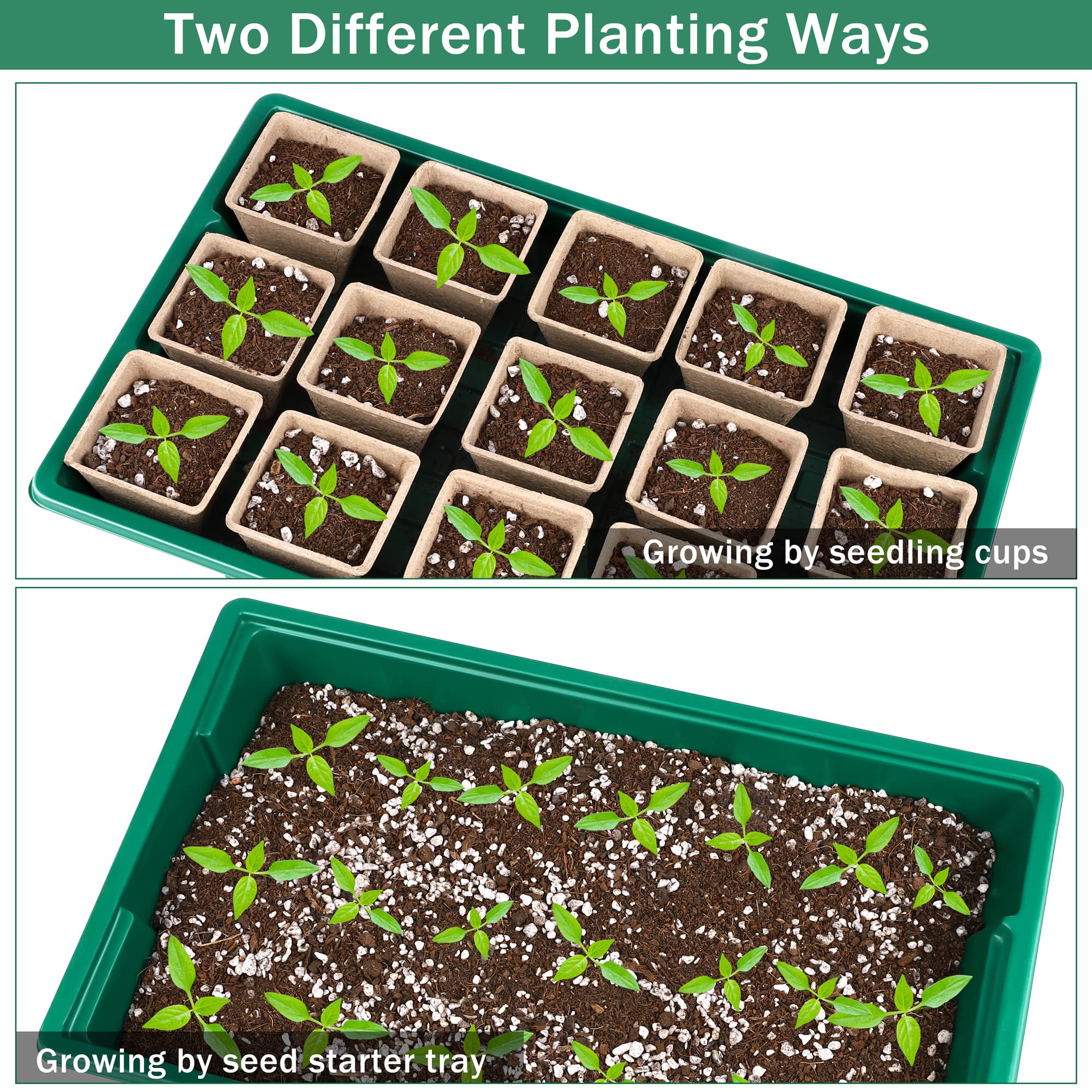 Hahood plant labels help track seed varieties and dates.