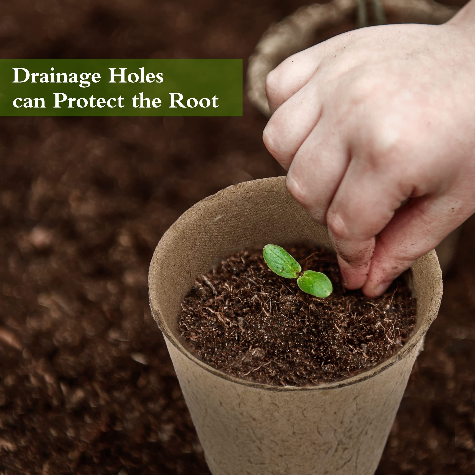 Hahood pots with drainage holes provide airflow and moisture management.