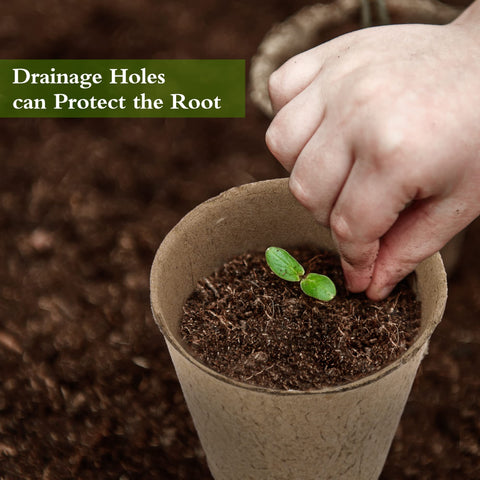 Hahood pots with drainage holes provide airflow and moisture management.