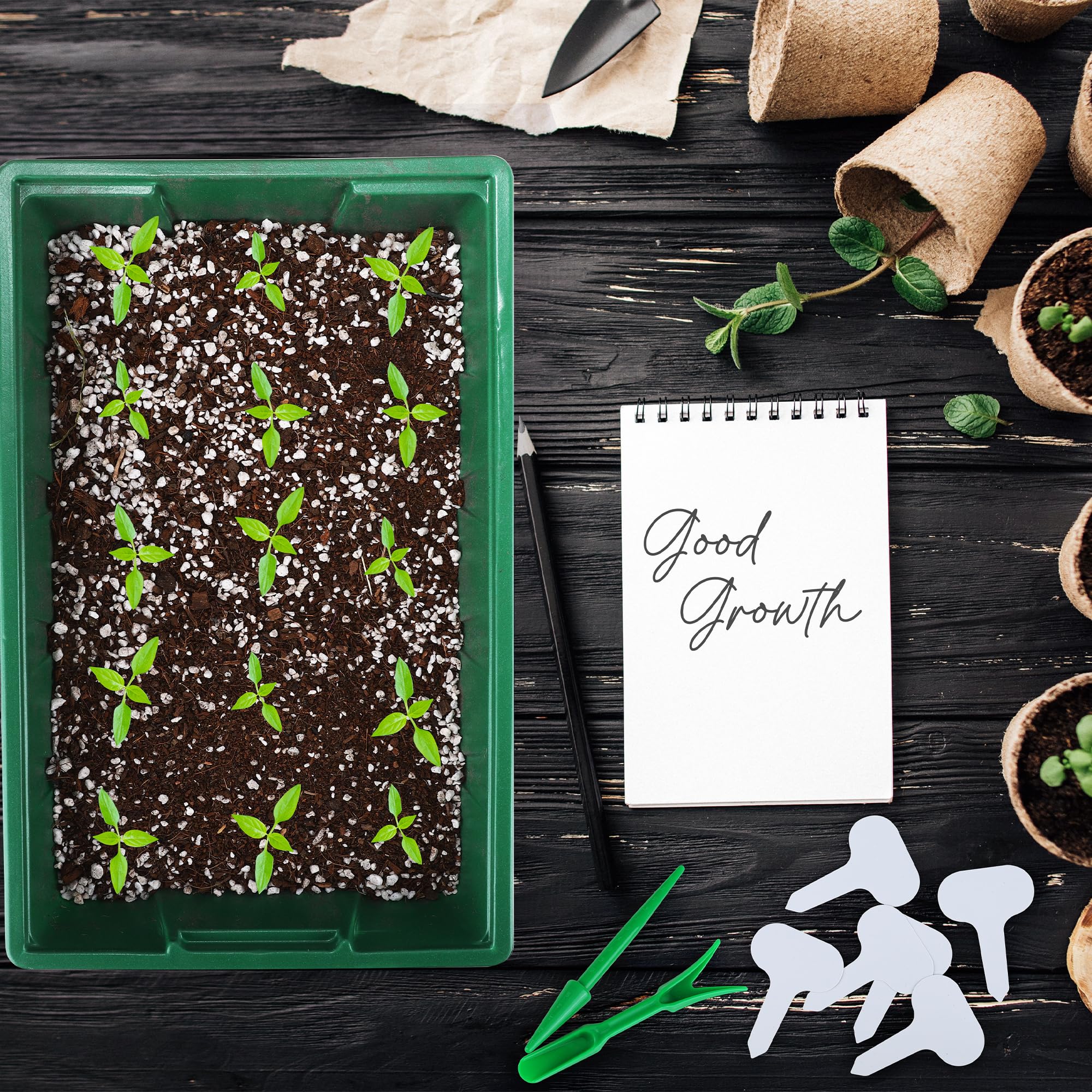 Hahood durable PS seed trays are reusable for years
