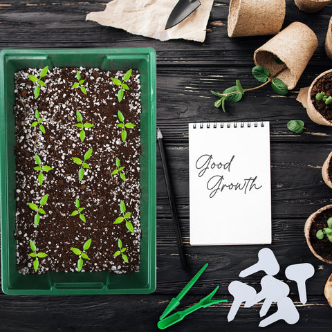 Hahood durable PS seed trays are reusable for years