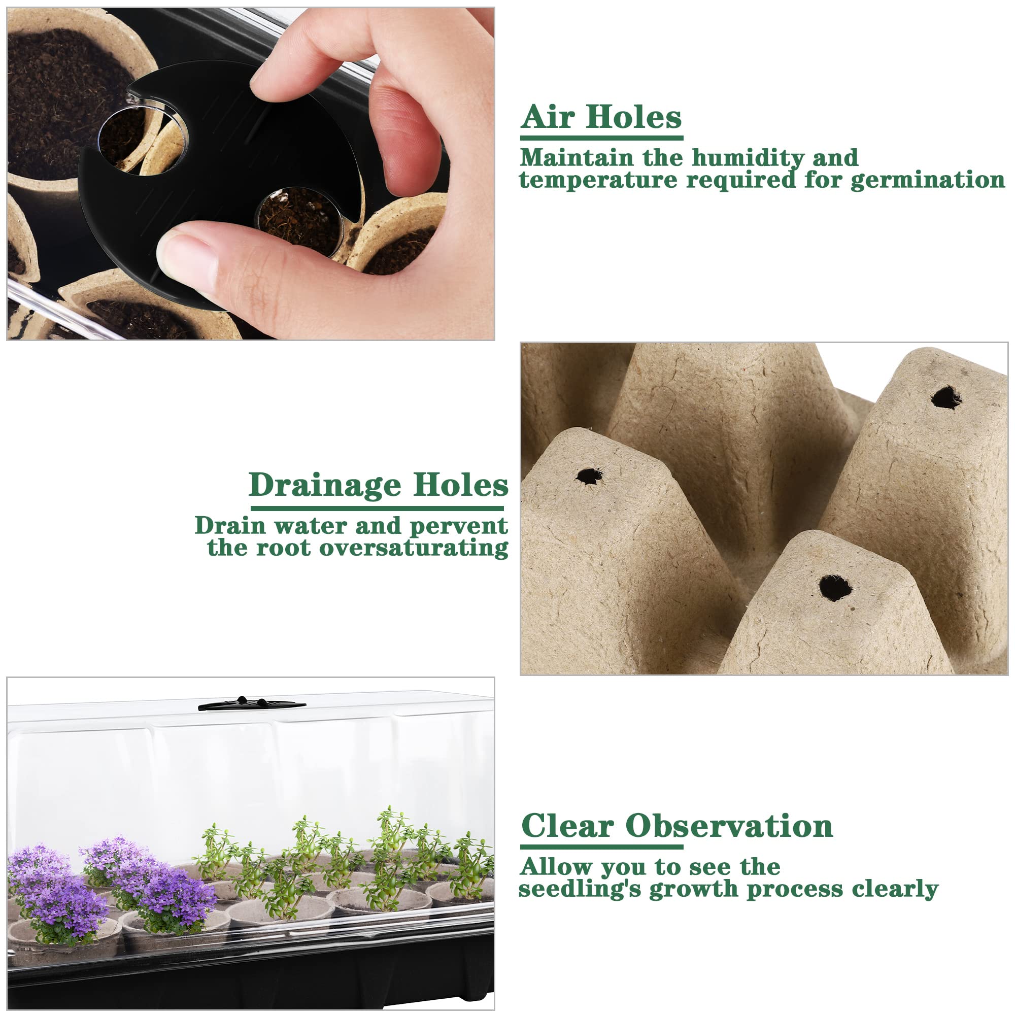 Hahood round peat cups support gentle seedling development and soil drainage.