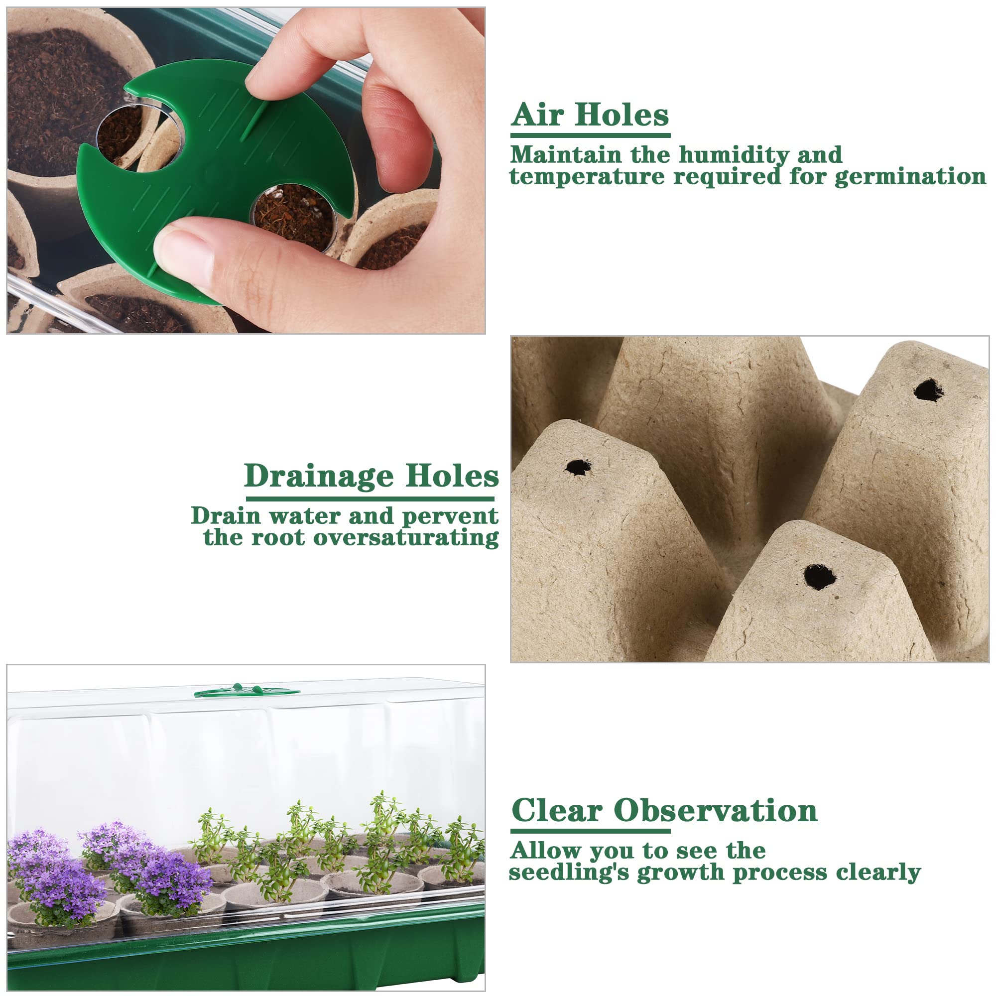 Hahood round peat seedling cups for drainage and airflow.
