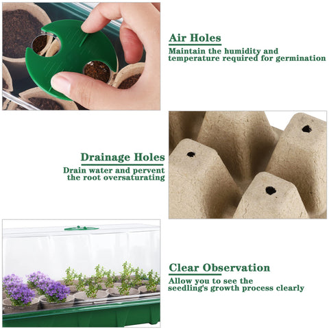 Hahood round peat seedling cups for drainage and airflow.