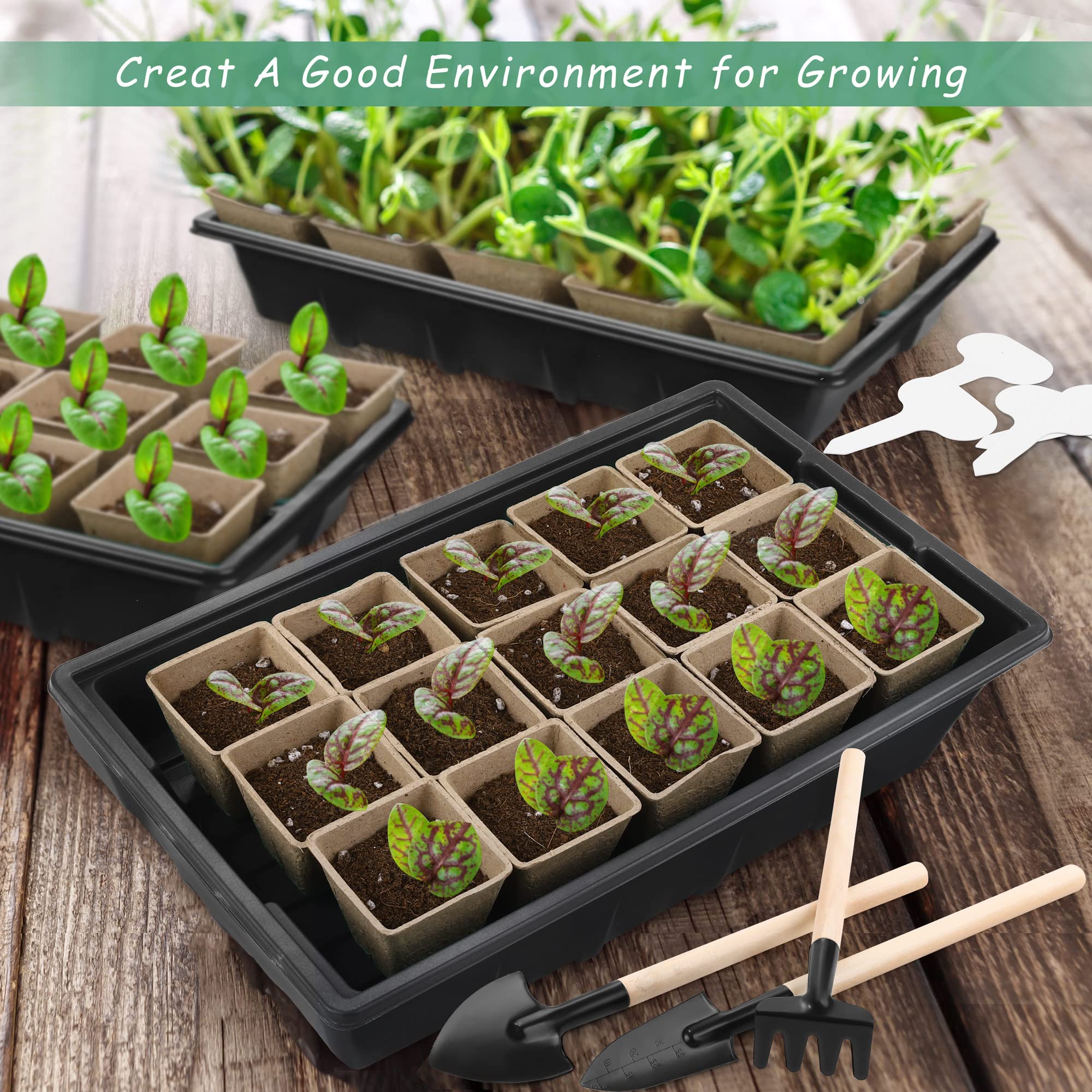 Hahood seed pots with drainage holes promote root breathability.