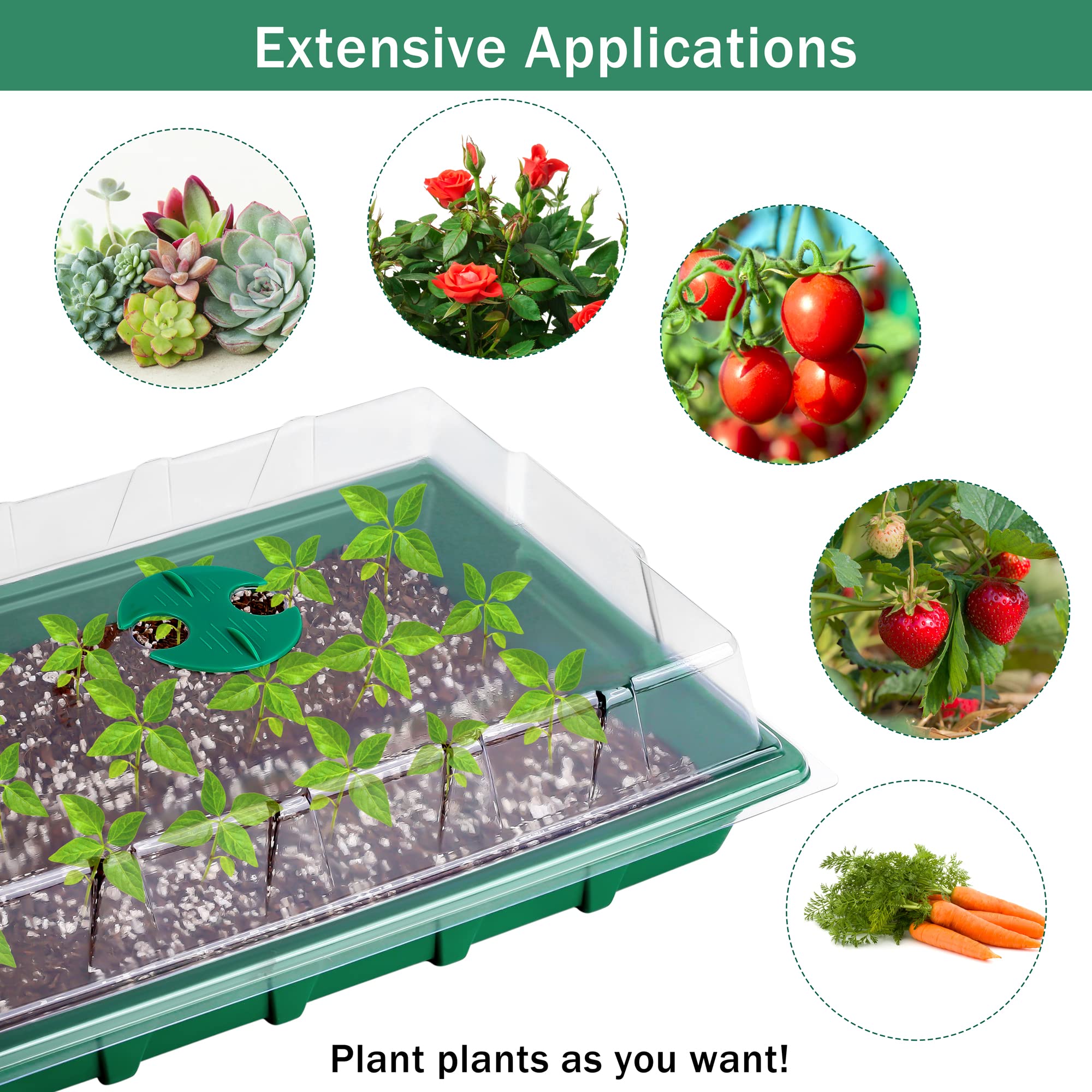 Hahood seed starter kit is easy to transport and set up.