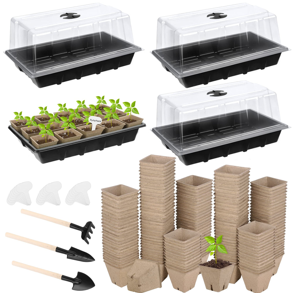 Hahood seed starter tray 4-pack for organized sowing and early germination.