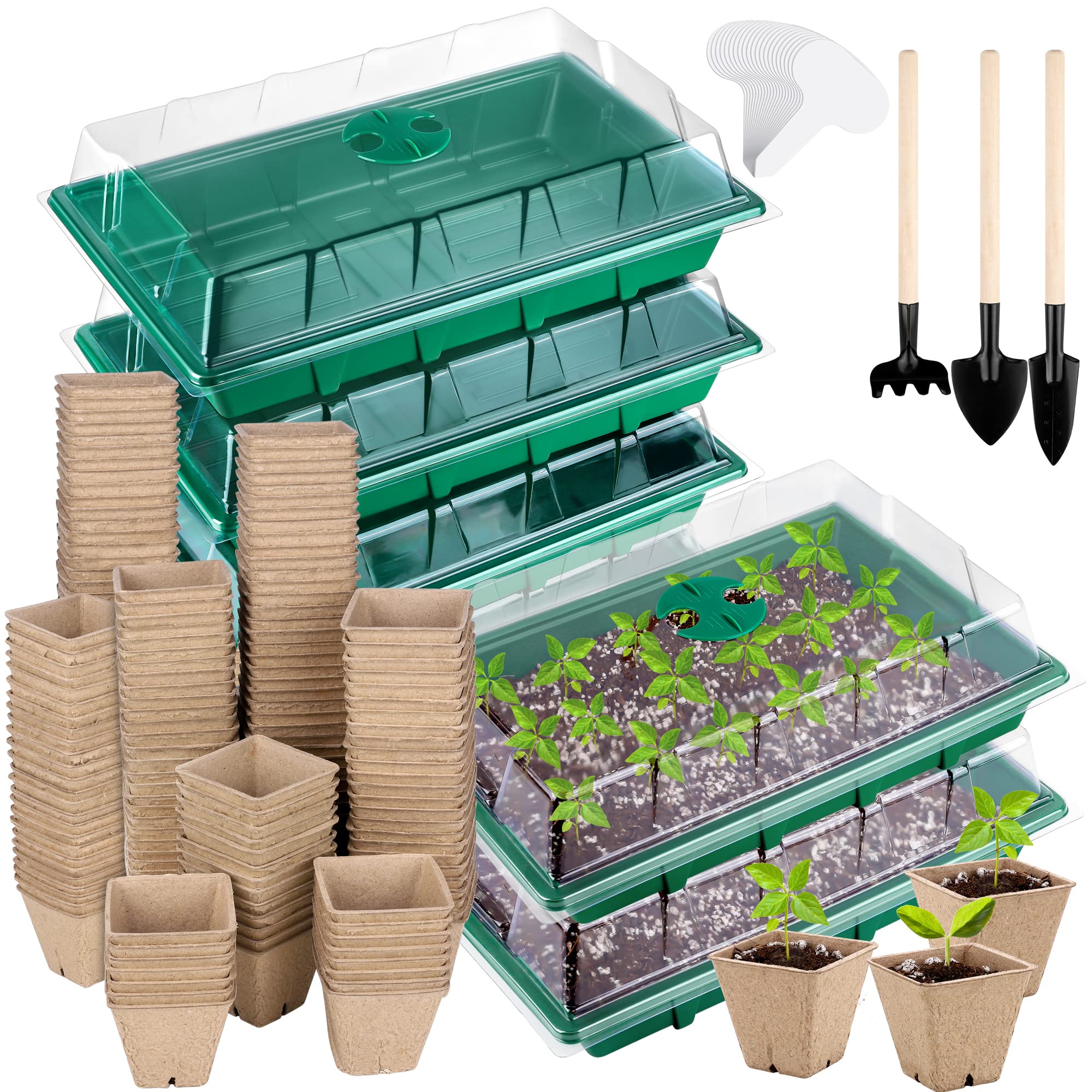 Hahood seed starter tray 6-pack ready for indoor germination.