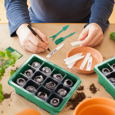 Hahood seed starter tray dimensions 7.3 by 5.7 inches fit on any windowsill