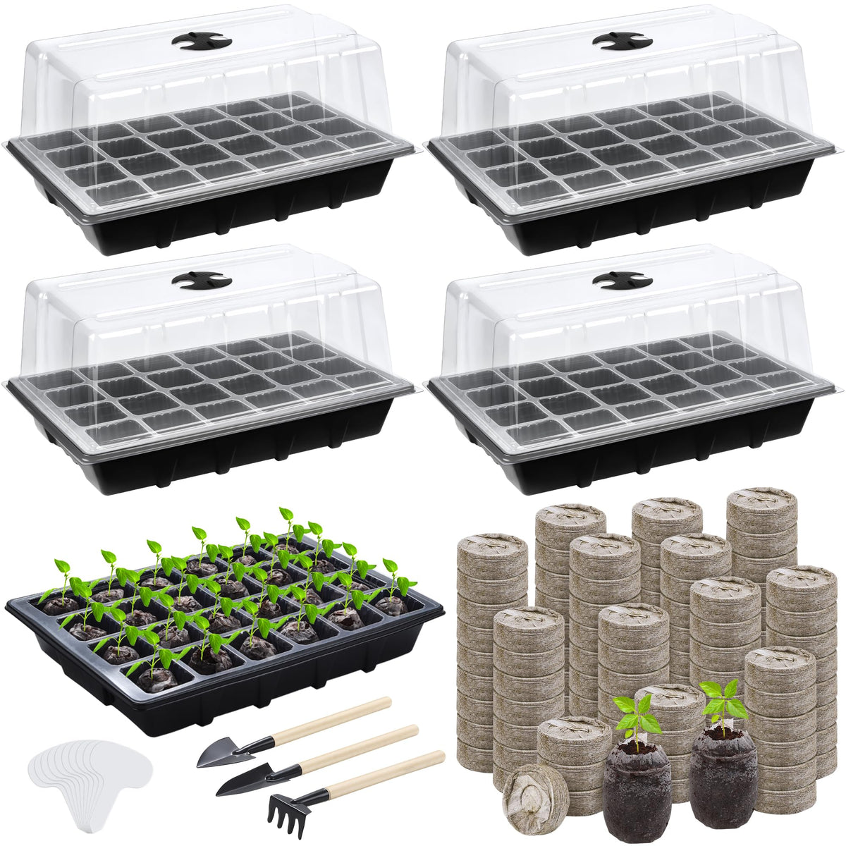 Hahood seed starter tray kit with four 24-cell trays ready for germination.
