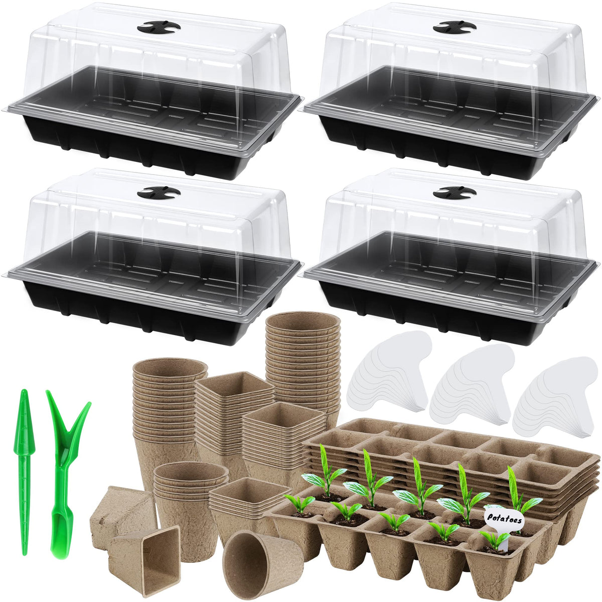 Hahood seed starter tray set with clear lid for easy germination monitoring.